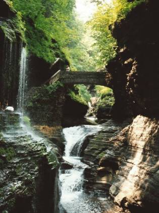 Watkins Glen