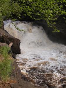 Michigan's Sturgeon Falls