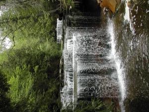 Cannings Falls on the Niagara Escarpment