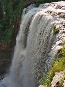 Webster Falls in Hamilton Ontario