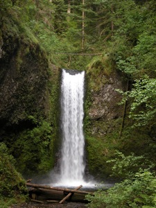Wiesendanger Falls, above Multnomah Falls