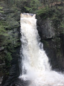 Bushkill Falls