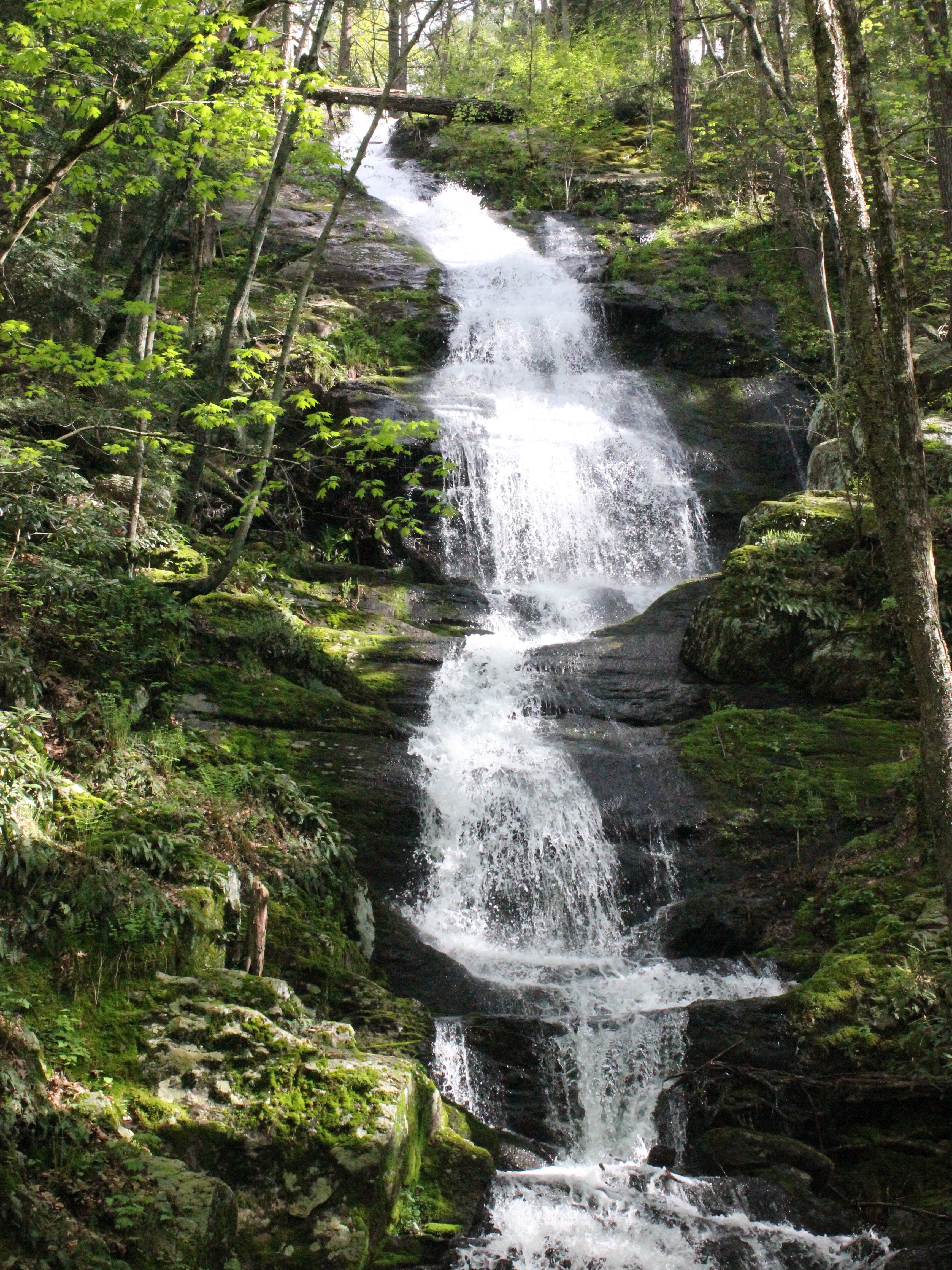 Buttermilk Falls