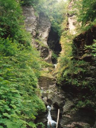 Watkins Glen