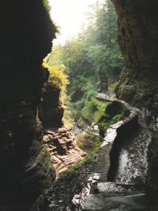 Watkins Glen