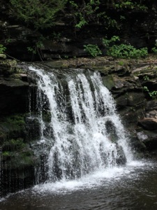 Cayuga Falls