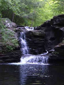 Murray Reynolds Falls