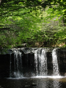 Oneida Falls